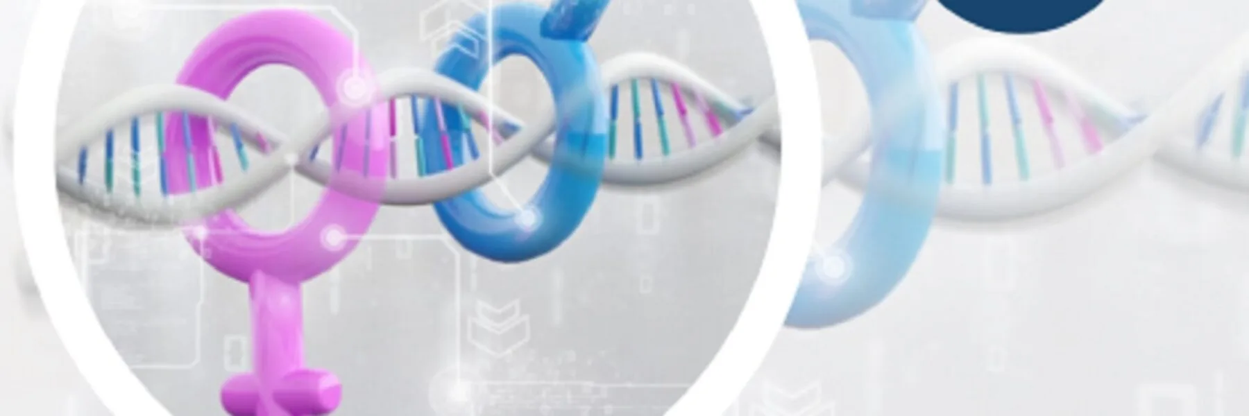webinar gratis medicina di genere